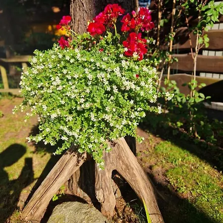 Гостевой дом Atostogu Namai Meta *